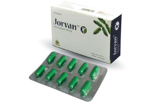 Jorvan Large